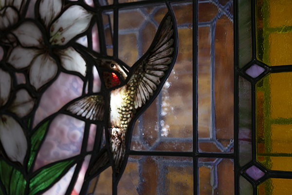 Hummingbird LED window